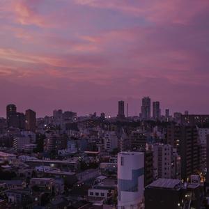 憋尿➕挠胸➕挠腋窝视频
